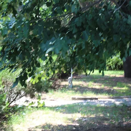 Diana Hotel Golden Sands