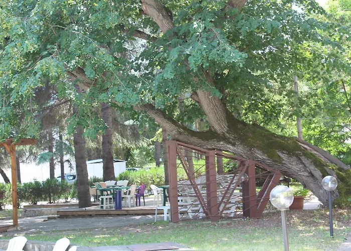 Отель Diana Hotel