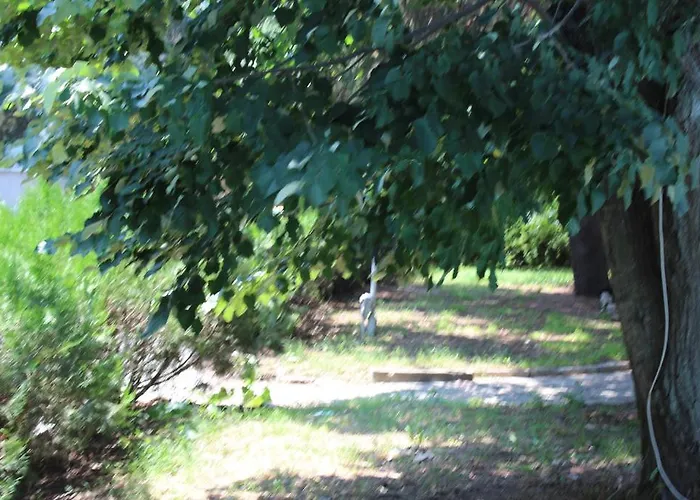 Diana Hotel Золотые Пески